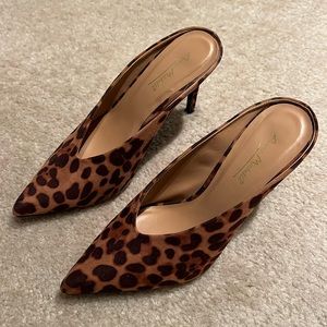Leopard Heel Mules from Tuckernuck